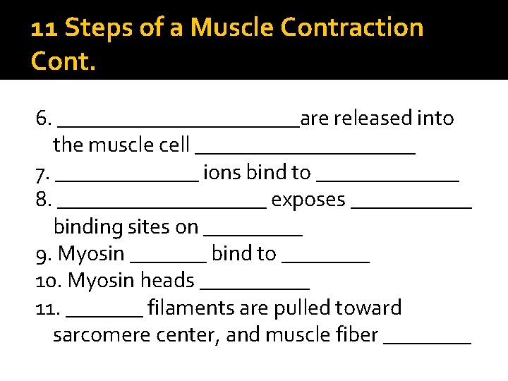 11 Steps of a Muscle Contraction Cont. 6. ___________are released into the muscle cell