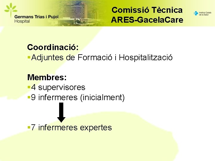 Comissió Tècnica ARES-Gacela. Care Coordinació: §Adjuntes de Formació i Hospitalització Membres: § 4 supervisores