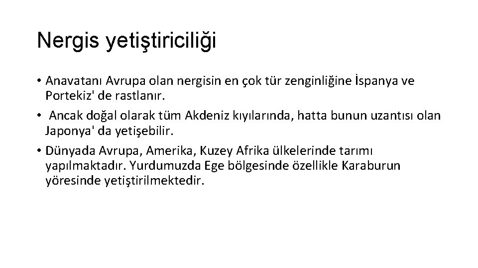 Nergis yetiştiriciliği • Anavatanı Avrupa olan nergisin en çok tür zenginliğine İspanya ve Portekiz'