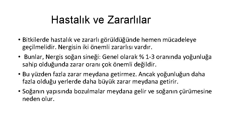 Hastalık ve Zararlılar • Bitkilerde hastalık ve zararlı görüldüğünde hemen mücadeleye geçilmelidir. Nergisin iki