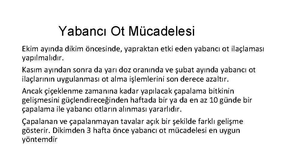 Yabancı Ot Mücadelesi Ekim ayında dikim öncesinde, yapraktan etki eden yabancı ot ilaçlaması yapılmalıdır.