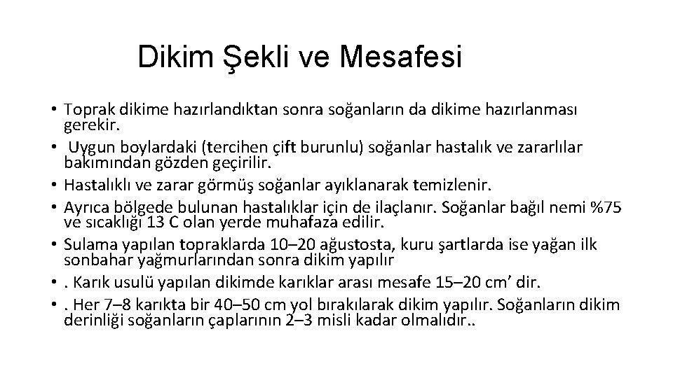 Dikim Şekli ve Mesafesi • Toprak dikime hazırlandıktan sonra soğanların da dikime hazırlanması gerekir.