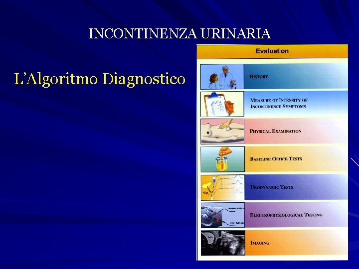 INCONTINENZA URINARIA L’Algoritmo Diagnostico 