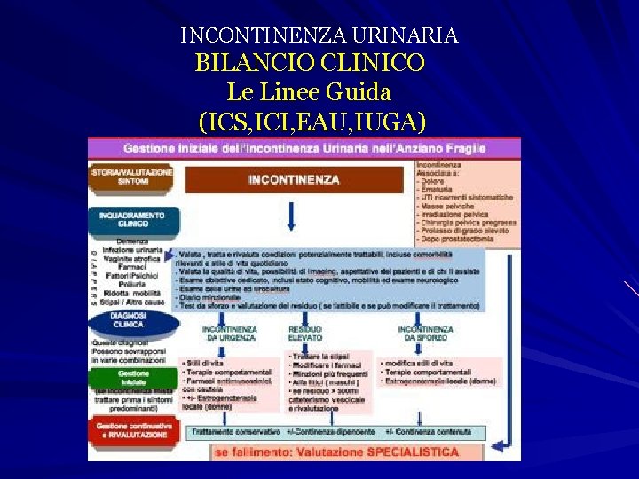 INCONTINENZA URINARIA BILANCIO CLINICO Le Linee Guida (ICS, ICI, EAU, IUGA) 