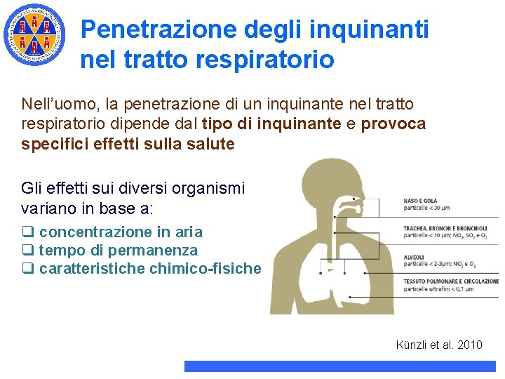 Penetrazione degli inquinanti nel tratto respiratorio Nell’uomo, la penetrazione di un inquinante nel tratto Penetrazione degli inquinanti nel tratto respiratorio Nell’uomo, la penetrazione di un inquinante nel tratto