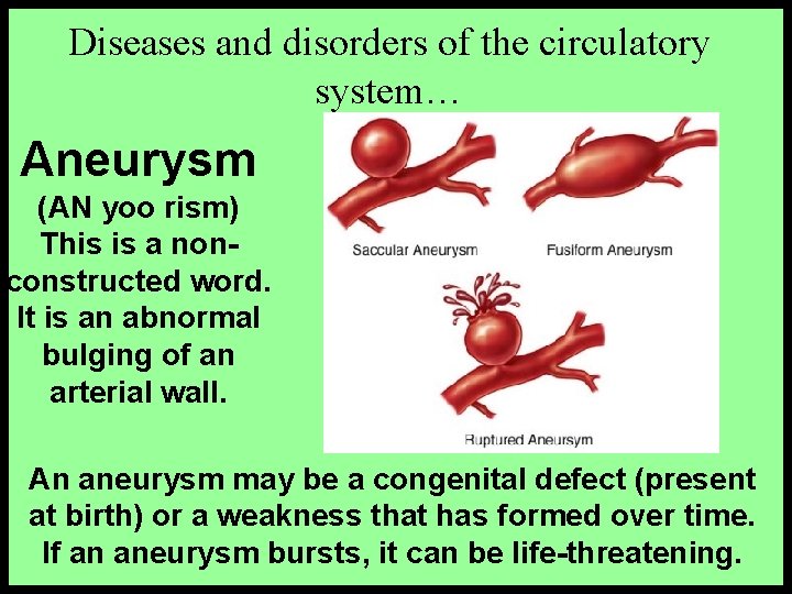 Diseases and disorders of the circulatory system… Aneurysm (AN yoo rism) This is a