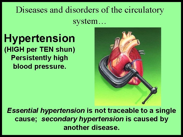 Diseases and disorders of the circulatory system… Hypertension (HIGH per TEN shun) Persistently high