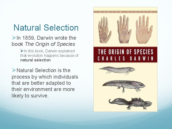 Natural Selection ØIn 1859, Darwin wrote the book The Origin of Species ØIn this