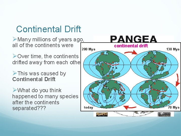 Continental Drift ØMany millions of years ago, all of the continents were ØOver time,