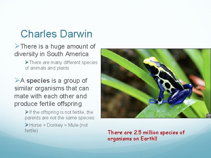 Charles Darwin ØThere is a huge amount of diversity in South America ØThere are