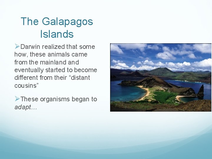 The Galapagos Islands ØDarwin realized that some how, these animals came from the mainland