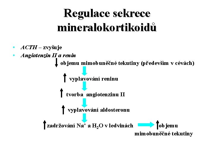 Regulace sekrece mineralokortikoidů • ACTH – zvyšuje • Angiotenzin II a renin objemu mimobuněčné