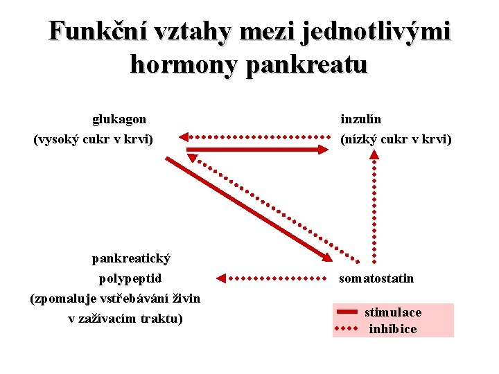 Funkční vztahy mezi jednotlivými hormony pankreatu glukagon (vysoký cukr v krvi) pankreatický polypeptid (zpomaluje