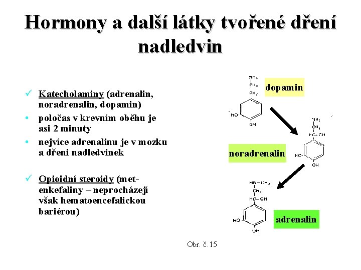 Hormony a další látky tvořené dření nadledvin dopamin ü Katecholaminy (adrenalin, noradrenalin, dopamin) •