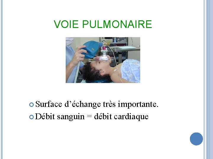 VOIE PULMONAIRE Surface d’échange très importante. Débit sanguin = débit cardiaque 
