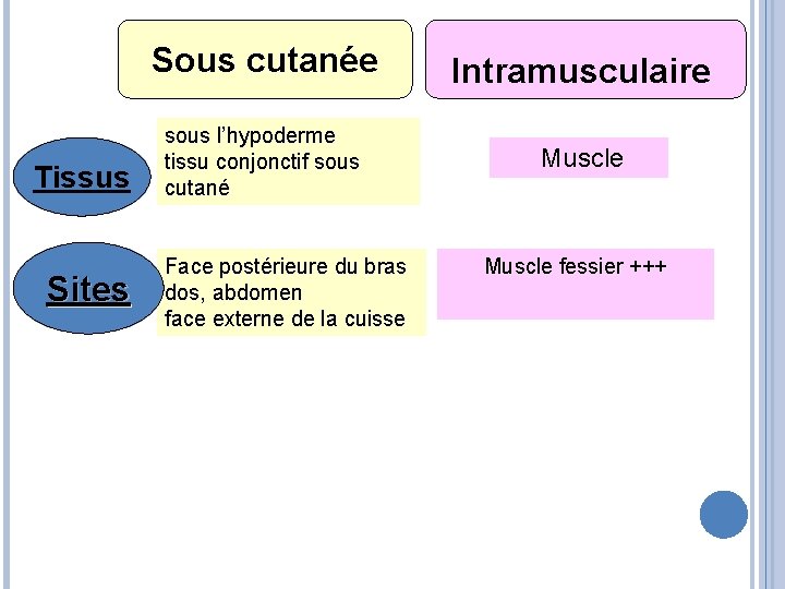 Tissus Sites Sous cutanée Intramusculaire sous l’hypoderme tissu conjonctif sous cutané Muscle Face postérieure