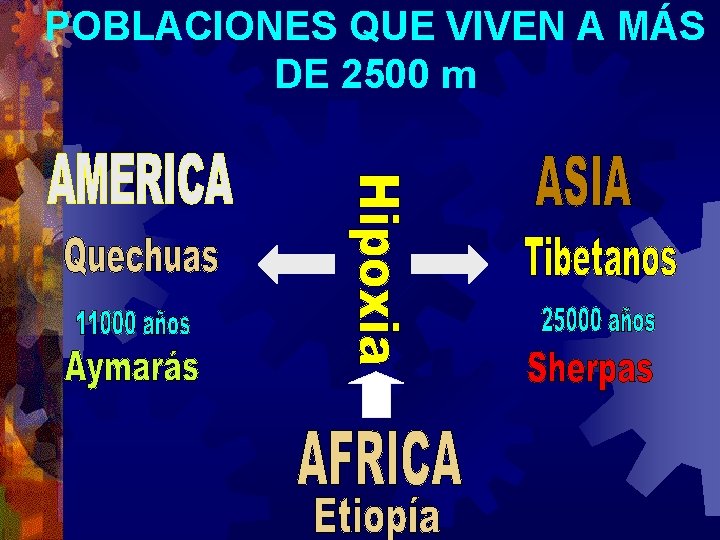 POBLACIONES QUE VIVEN A MÁS DE 2500 m POBLACIONES QUE VIVEN A MÁS DE 2500 m