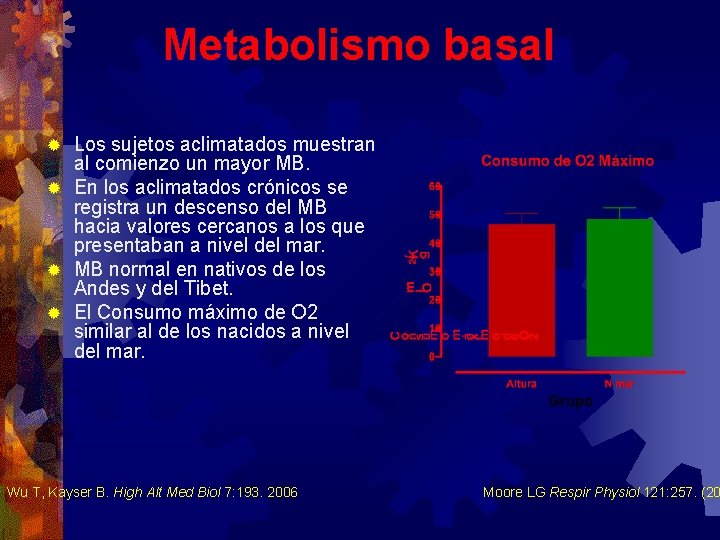 Metabolismo basal Los sujetos aclimatados muestran al comienzo un mayor MB. ® En los Metabolismo basal Los sujetos aclimatados muestran al comienzo un mayor MB. ® En los