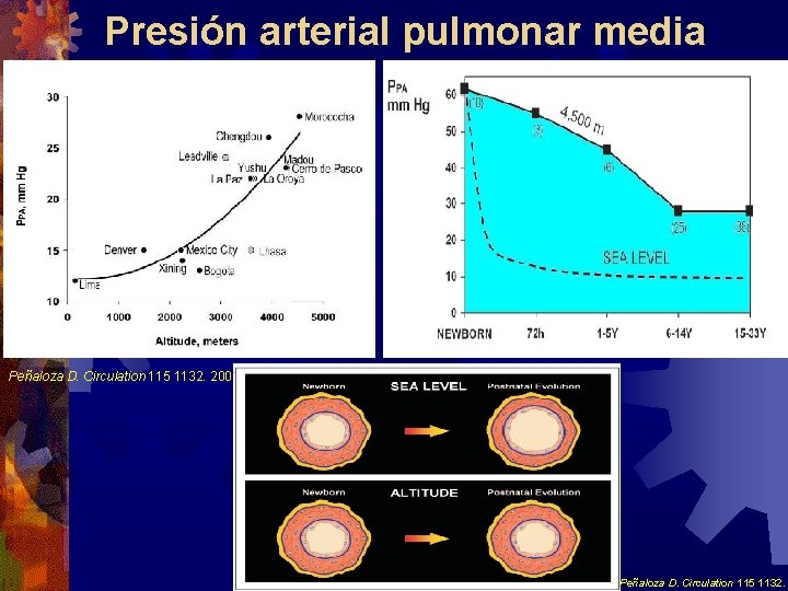 Presión arterial pulmonar media Peñaloza D. Circulation 115 1132. 2007 Peñaloza D. Circulation 115 Presión arterial pulmonar media Peñaloza D. Circulation 115 1132. 2007 Peñaloza D. Circulation 115