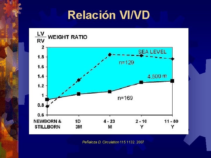 Relación VI/VD Peñaloza D. Circulation 115 1132. 2007 Relación VI/VD Peñaloza D. Circulation 115 1132. 2007