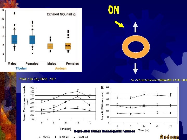 PNAS 104 (s 1) 8655. 2007 Am J Physiol Endocrinol Metab 296: E 1319. PNAS 104 (s 1) 8655. 2007 Am J Physiol Endocrinol Metab 296: E 1319.