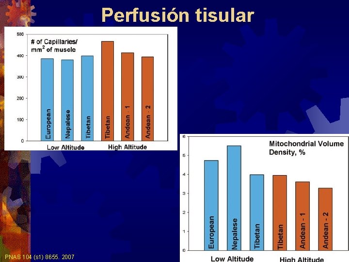 Perfusión tisular PNAS 104 (s 1) 8655. 2007 Perfusión tisular PNAS 104 (s 1) 8655. 2007