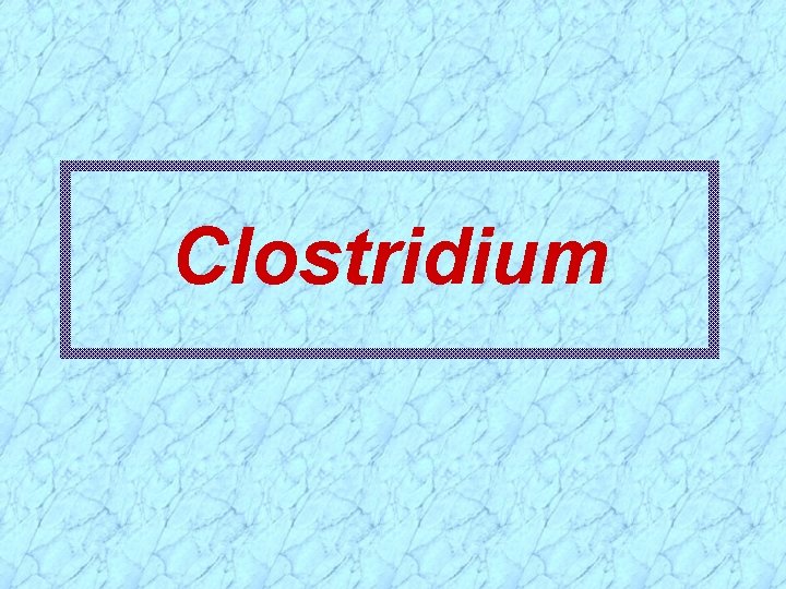 Clostridium 