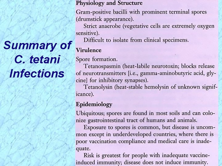 Summary of C. tetani Infections 