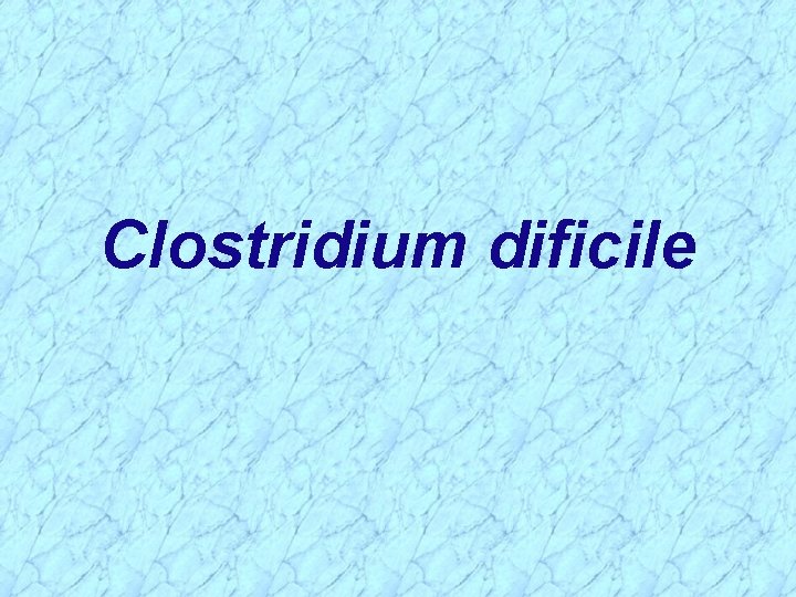 Clostridium dificile 