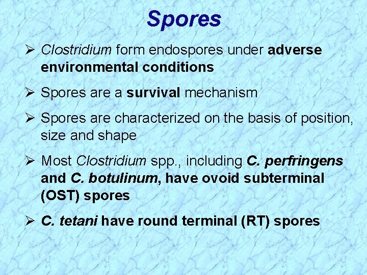 Spores Ø Clostridium form endospores under adverse environmental conditions Ø Spores are a survival