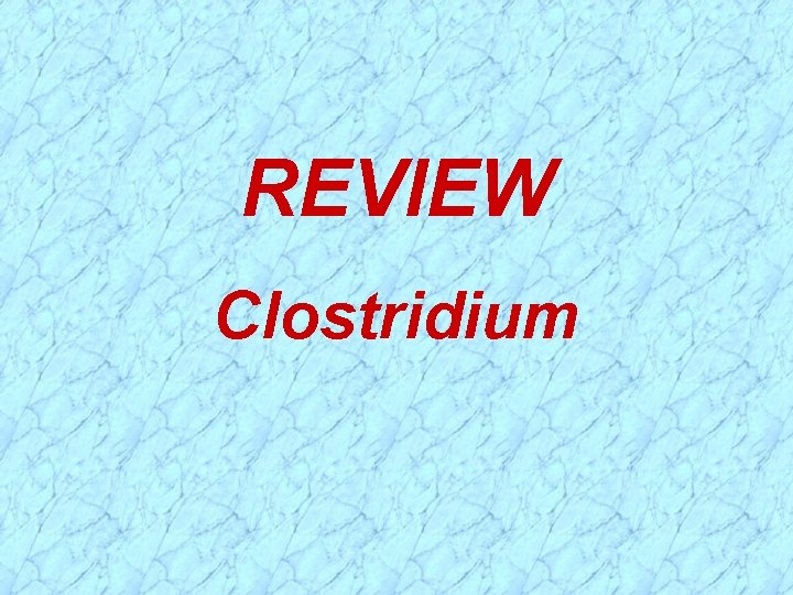 REVIEW Clostridium 