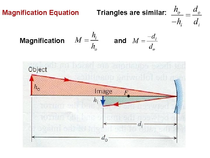Magnification Equation Magnification Triangles are similar: and 
