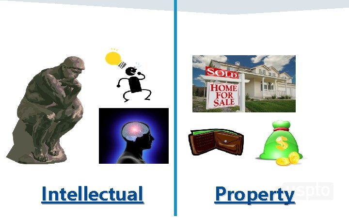 Intellectual Property 