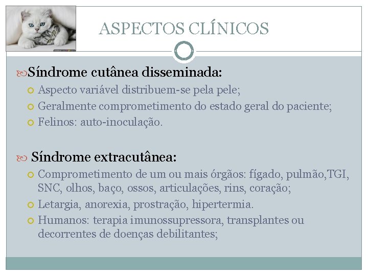 ASPECTOS CLÍNICOS Síndrome cutânea disseminada: Aspecto variável distribuem-se pela pele; Geralmente comprometimento do estado