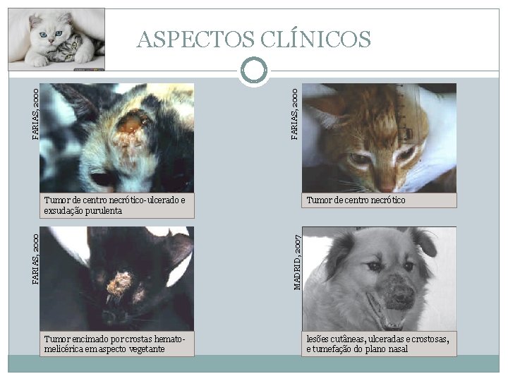 FARIAS, 2000 ASPECTOS CLÍNICOS Tumor de centro necrótico MADRID, 2007 FARIAS, 2000 Tumor de