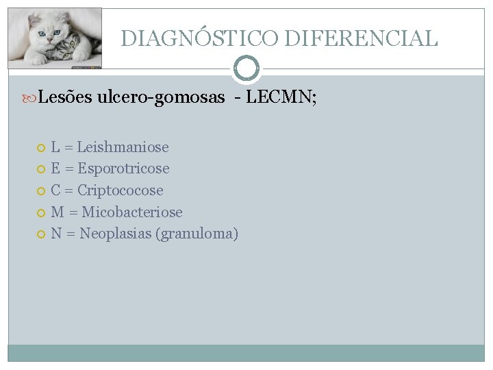  DIAGNÓSTICO DIFERENCIAL Lesões ulcero-gomosas - LECMN; L = Leishmaniose E = Esporotricose C