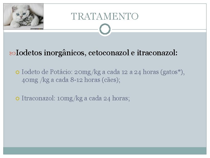 TRATAMENTO Iodetos inorgânicos, cetoconazol e itraconazol: Iodeto de Potácio: 20 mg/kg a cada 12