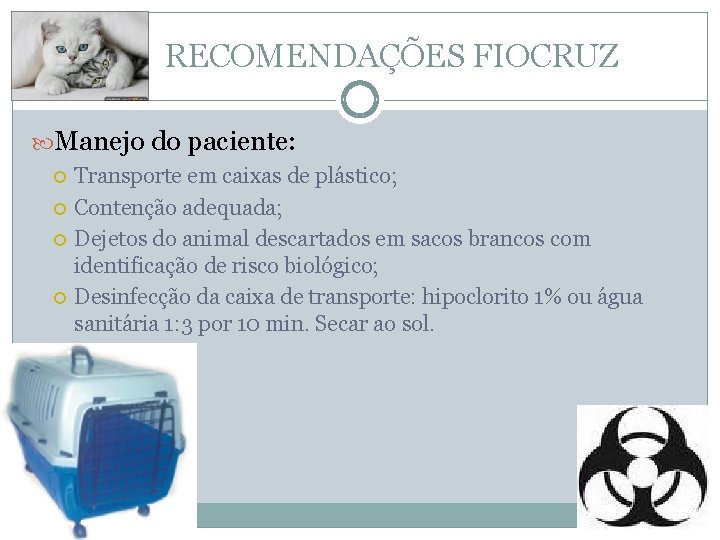  RECOMENDAÇÕES FIOCRUZ Manejo do paciente: Transporte em caixas de plástico; Contenção adequada; Dejetos