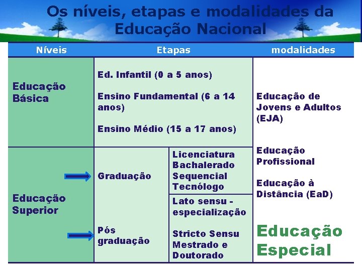 Os níveis, etapas e modalidades da Educação Nacional Níveis Educação Básica Etapas modalidades Ed.