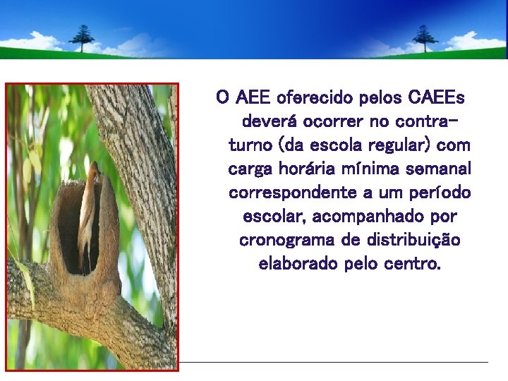 O AEE oferecido pelos CAEEs deverá ocorrer no contraturno (da escola regular) com carga
