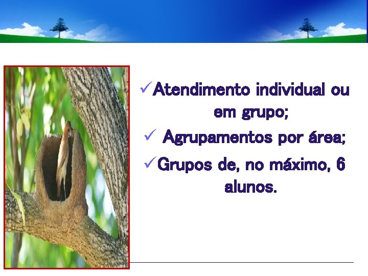 üAtendimento individual ou em grupo; ü Agrupamentos por área; üGrupos de, no máximo, 6