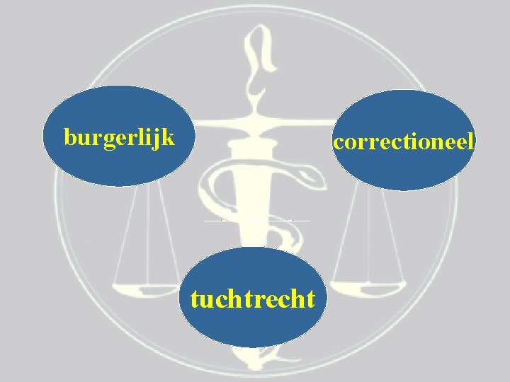 burgerlijk correctioneel tuchtrecht 