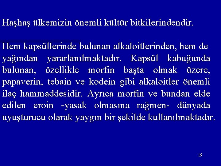 Haşhaş ülkemizin önemli kültür bitkilerindendir. Hem kapsüllerinde bulunan alkaloitlerinden, hem de yağından yararlanılmaktadır. Kapsül