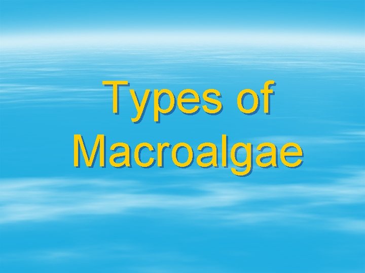 Types of Macroalgae 