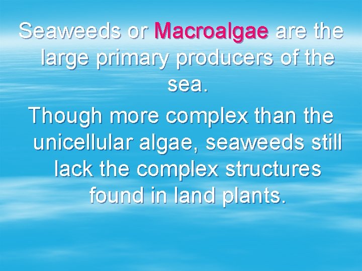 Seaweeds or Macroalgae are the large primary producers of the sea. Though more complex