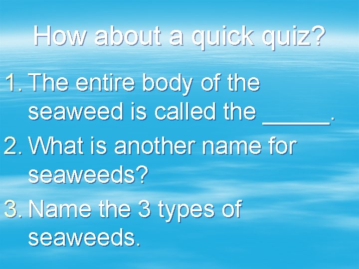 How about a quick quiz? 1. The entire body of the seaweed is called