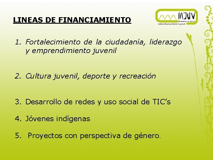 LINEAS DE FINANCIAMIENTO 1. Fortalecimiento de la ciudadanía, liderazgo y emprendimiento juvenil 2. Cultura
