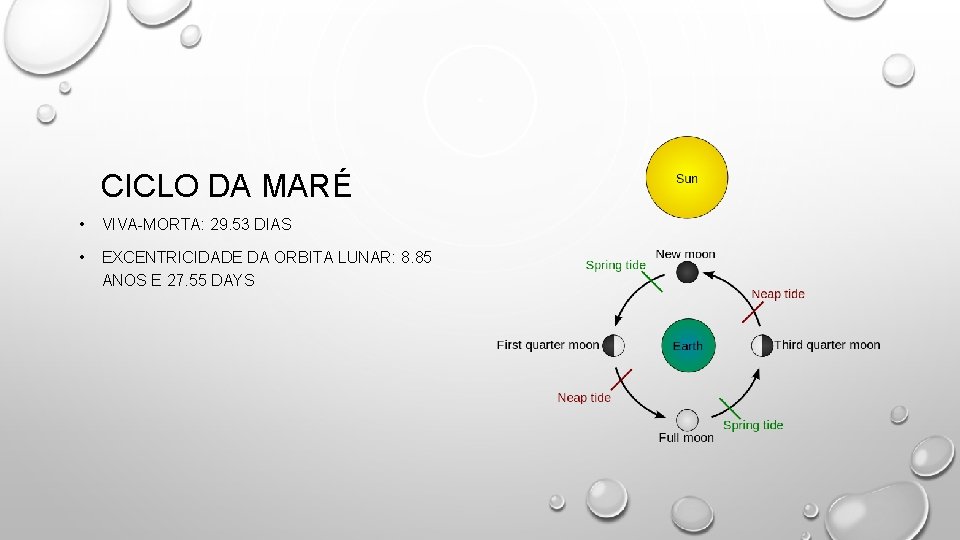 CICLO DA MARÉ • VIVA-MORTA: 29. 53 DIAS • EXCENTRICIDADE DA ORBITA LUNAR: 8.