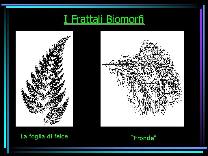 I Frattali Biomorfi La foglia di felce “Fronde" 