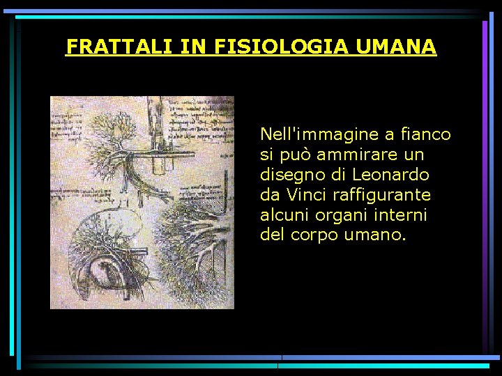 FRATTALI IN FISIOLOGIA UMANA Nell'immagine a fianco si può ammirare un disegno di Leonardo